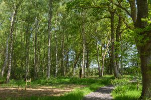 Photo 33- click for photo gallery